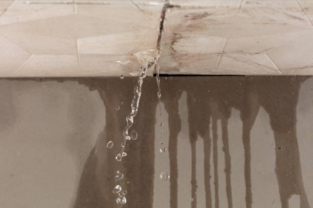 Professional Water Damage Inspection technician working in Greenwood, NE